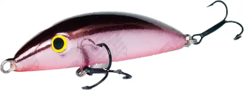 real winner casting pkn 7 cm - 11 grammi