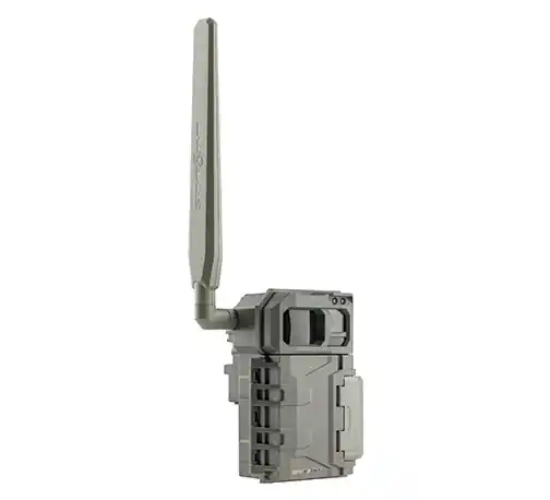 canicom - fototrappola spypoint link - micro