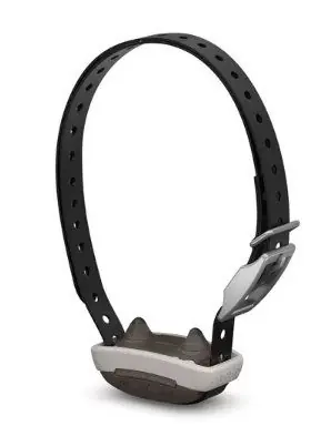 garmin barklimiter 2 collare anti abbaio