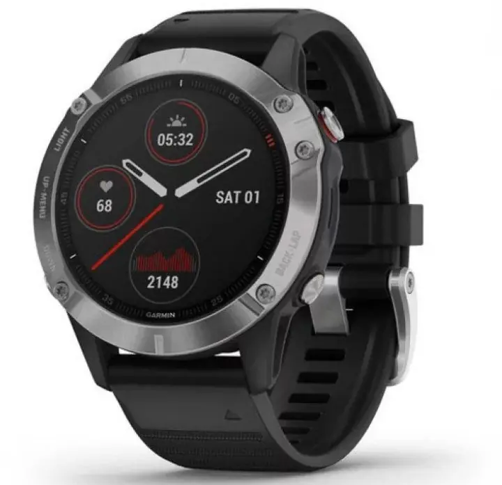 garmin fenix 6 silver with black band