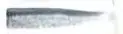 BLACK MINNOW FIIISH 105 COL. SILVER STRIKE buellistore