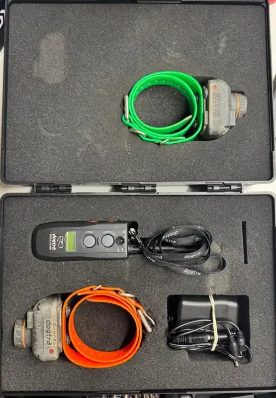 DOGTRACE USATO SET DA 2 DOGTRA RB1200