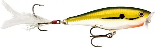 Skitter Pop - 7 - GCH buellistore