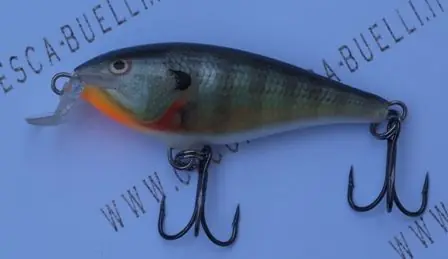 Shallow Shad Rap 7 BG buellistore
