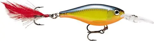 X-Rap Shad - 6 - HS buellistore