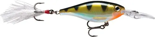 X-Rap Shad - 8 - YP buellistore