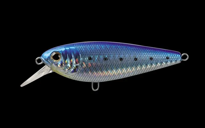 MOLIX BRUGAS R 249 SPRING SARDA buellistore