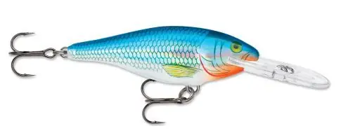 RAPALA SHAD RAP 5 hbsh buellistore
