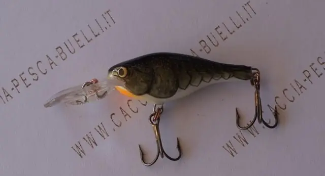 RAPALA SHAD RAP RS buellistore