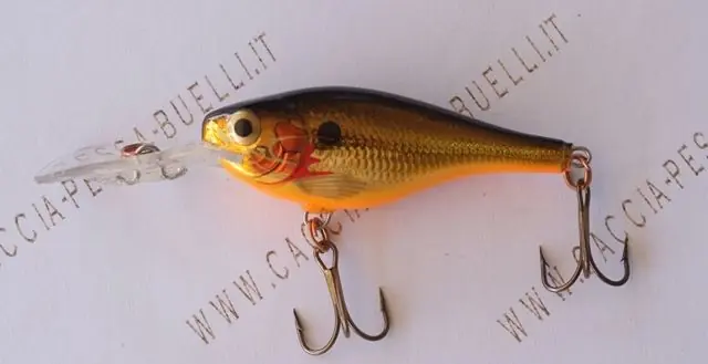 RAPALA SHAD RAP RS buellistore