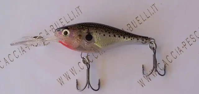 RAPALA GLASS SHAD RAP buellistore