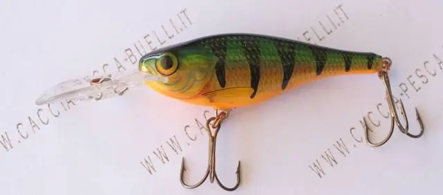 RAPALA SHAD RAP RS buellistore