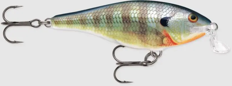 rapala shad rap shallow blue gill