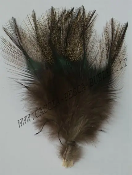COQ DE LEON PARDO OSCURO buellistore