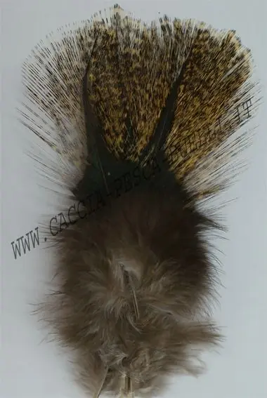TURRAL COQ DE LEON PARDO DE ESCOBA buellistore