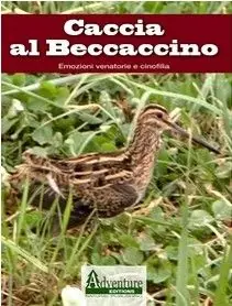 DVD + LIBRETTO CACCIA AL BECCACCINO buellistore