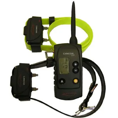 CANICOM 800 TELECOMANDO + 2 COLLARI buellistore