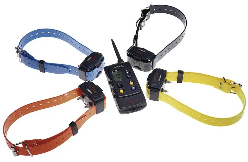 COLLARE AGGIUNTIVO CANICOM 200-500-800-1500 giallo buellistore