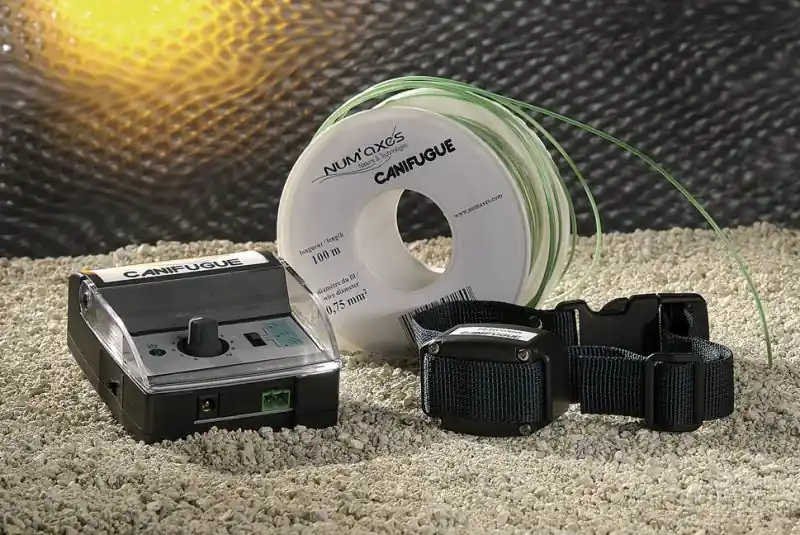 CANIFUGUE - RECINTO ELETTRONICO buellistore