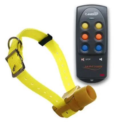 CANIBEEP RADIO PRO - 2 COLLARI + TELECOMANDO buellistore