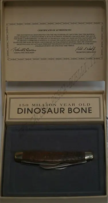 camillus dinosaur bone