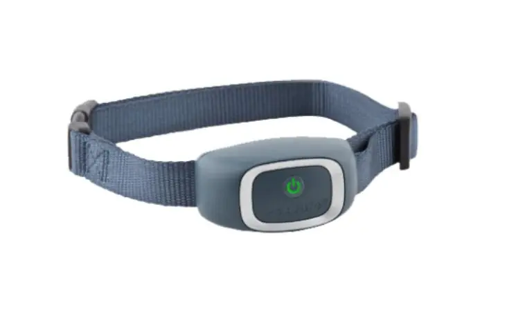 petsafe collare antiabbaio automatico per cani