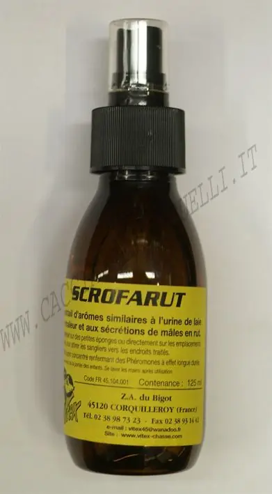 VITEX SCROFARUT ATTRATTIVO buellistore