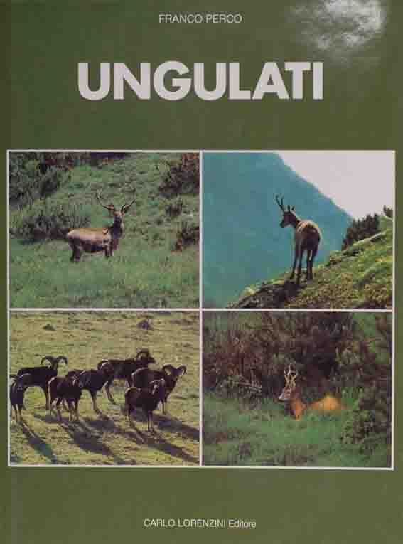 LIBRO UNGULATI buellistore