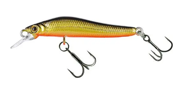 molix jubarino 38 albino