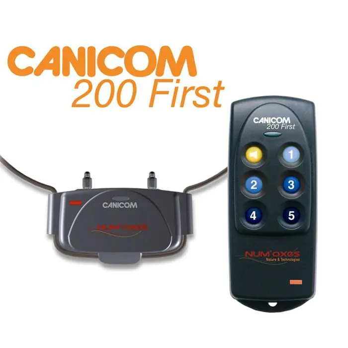 canicom collare e telecomando 200 first