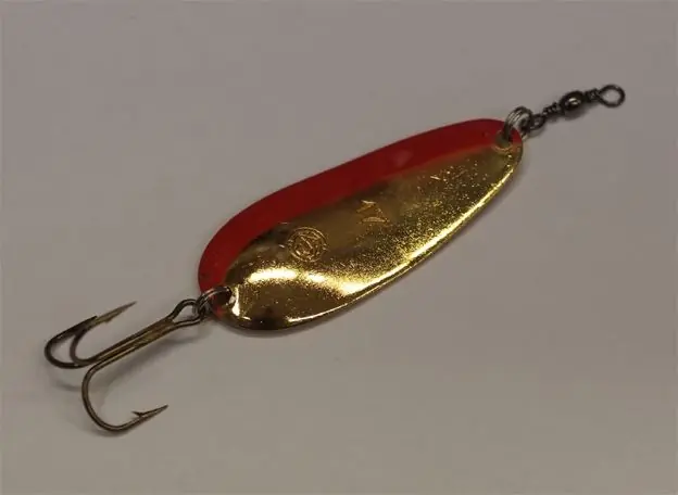 MARTIN ARDITO 17G ORO buellistore