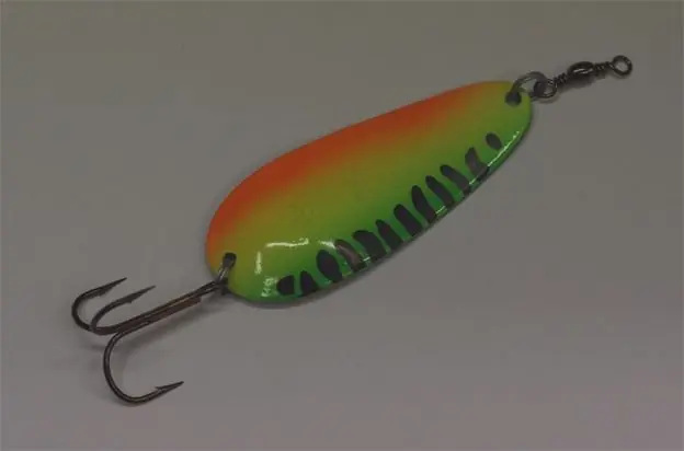 MARTIN ARDITO 24G TIGER buellistore