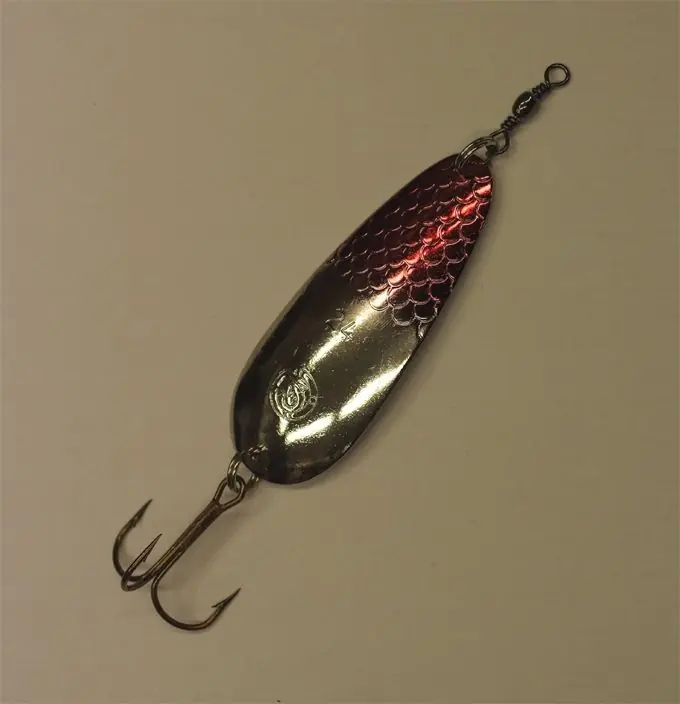 MARTIN ARDITO 30G SQUAMATO buellistore