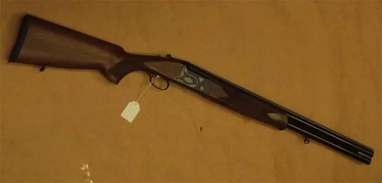 yildiz sovrapposto calibro 12 slug