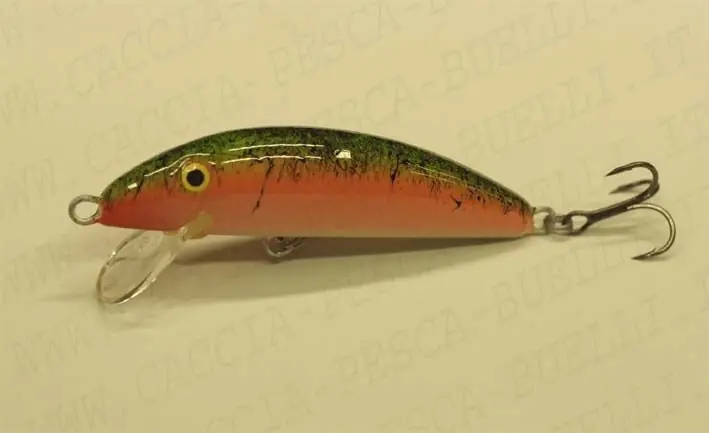 REAL WINNER MINNOW SINKING 12CM - 24G - FT buellistore