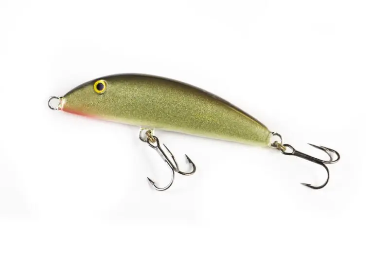 REAL WINNER MINNOW 12CM - 24G - GRO buellistore