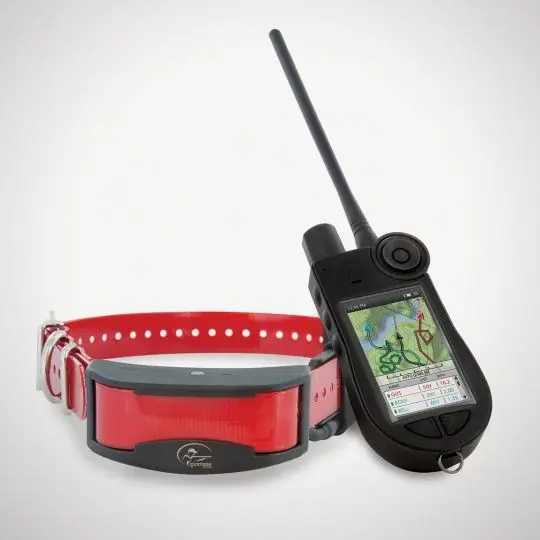 promozione sportdog tek 2.0 satellitare