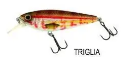 MOLIX BRUGAS R - 225 GHIOZZO buellistore