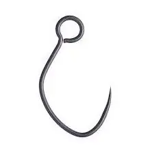 vanfook ami per minnow