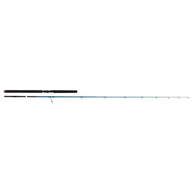 SAVAGE GEAR SGS2 OFFSHORE PLUG 2,50 MT 50-120 GR buellistore
