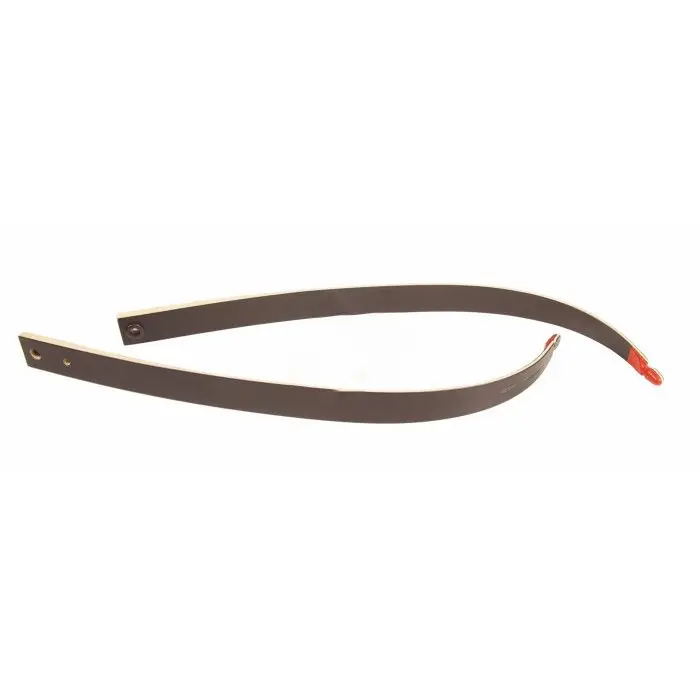 BIG ARCHERY FLETTENTI EVO SCUOLA SHORT - 24lbs.