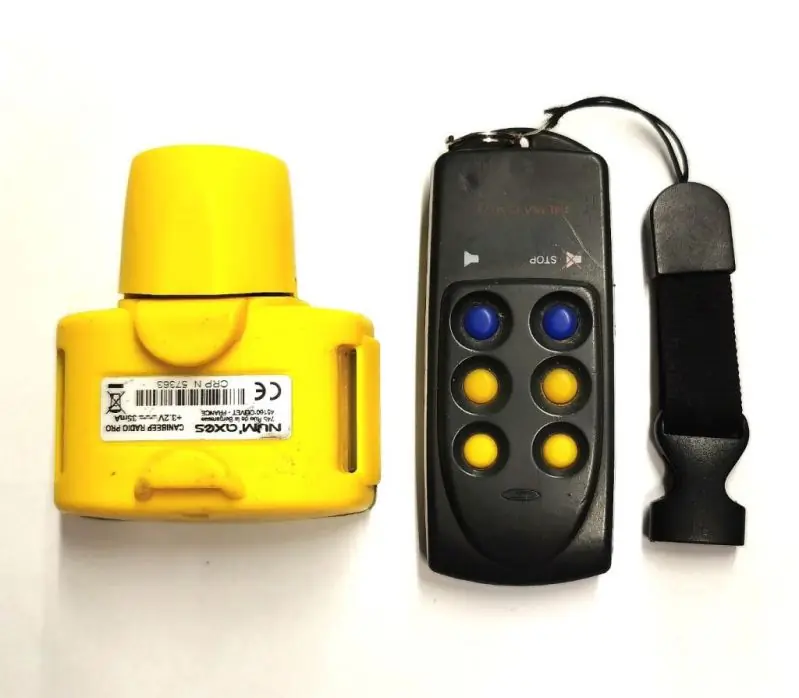CANICOM COLLARE E TELECOMANDO, COLLARE ADDESTRAMENTO CANE USATO, TELECOMANDO PER COLLARE SPORTDOG
