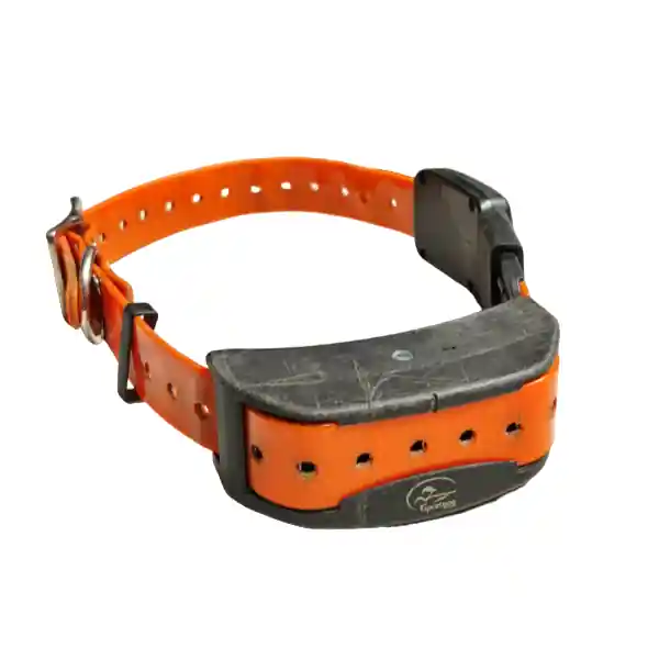TEK 2.0 COLLARE AGGIUNTIVO - SPORTDOG USATO buellistore