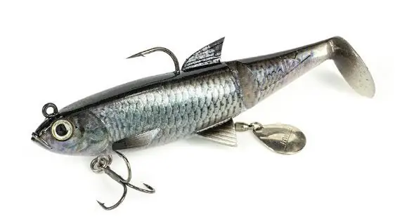 MOLIX SHAD 120 634 LIVE CHUB buellistore