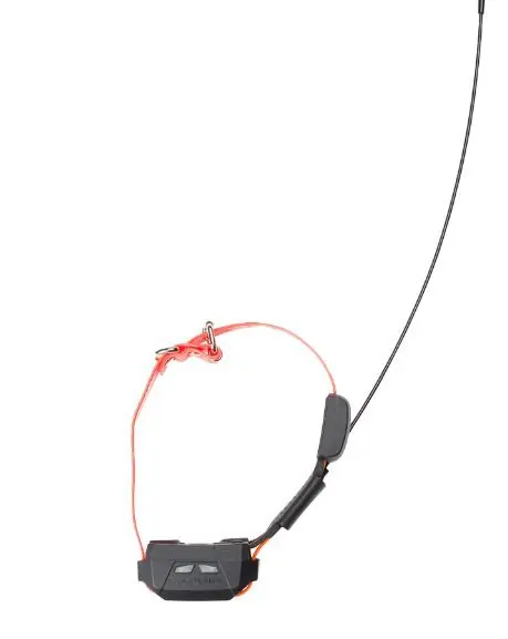 PROMOZIONE CANICOM GPS MINI CON ADDESTRAMENTO - COLLARE AGGIUNTIVO buellistore