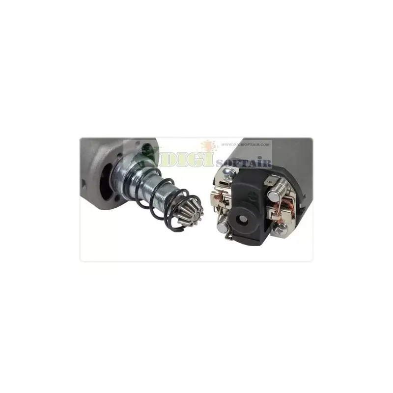 SHS motore albero lungo Standard