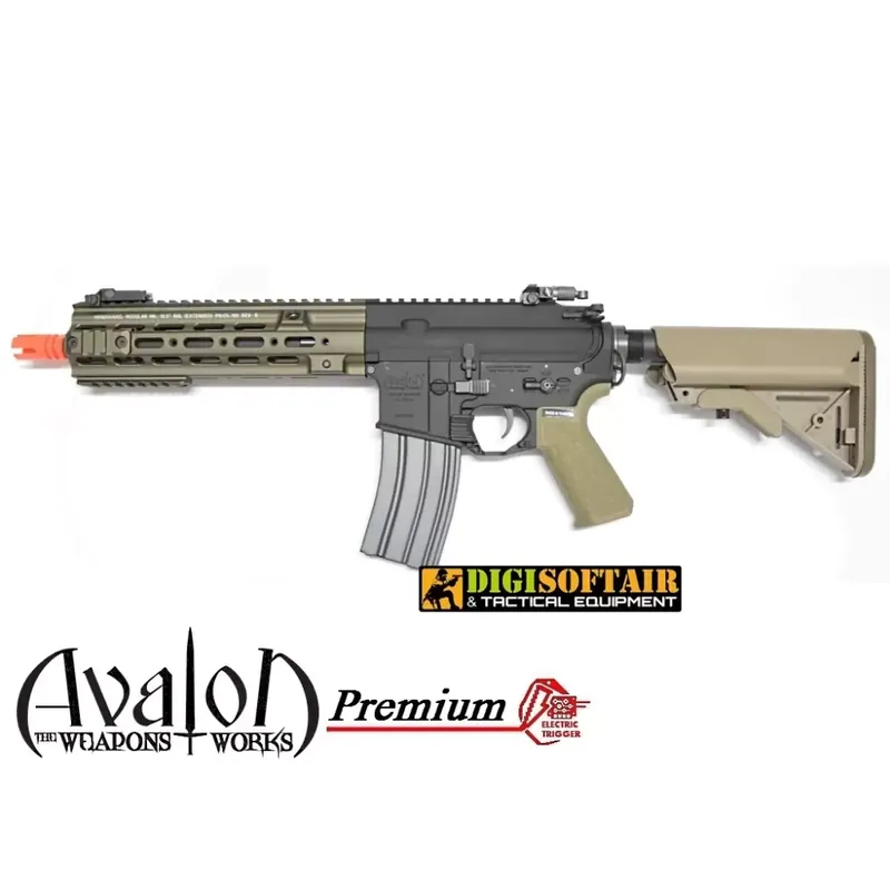 AVALON Premium CAG GEISSELE Vega Force company