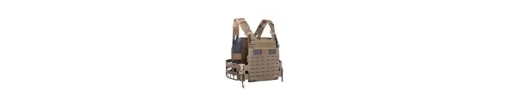 Plate carrier