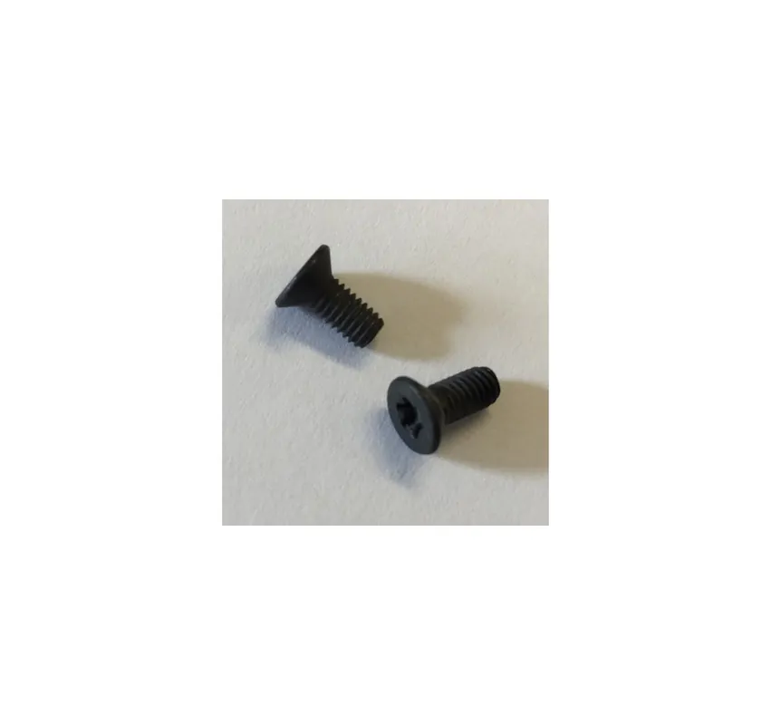 CZ SET VITI PER GUANCETTE IN ALLUMINIO TORX T15 *2pz*