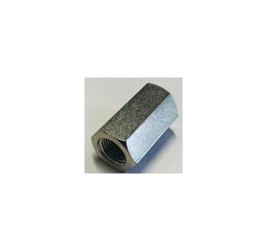 VARI PROLUNGA 1/8" BSP